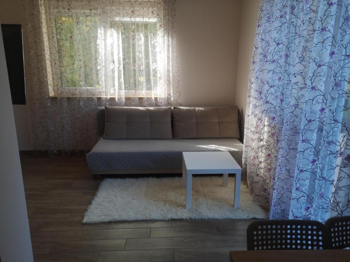 Kristinos Apartment Druskininkai Exterior foto